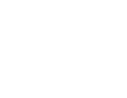 pablo-bravo-fisioterapia-malaga-logo-vertical-blanco
